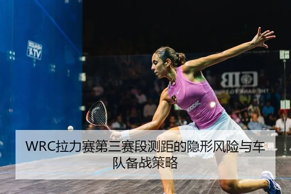 WRC拉力赛第三赛段测距的隐形风险与车队备战策略
