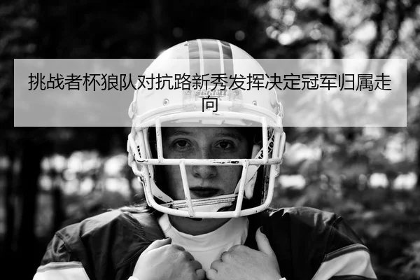 挑战者杯狼队对抗路新秀发挥决定冠军归属走向